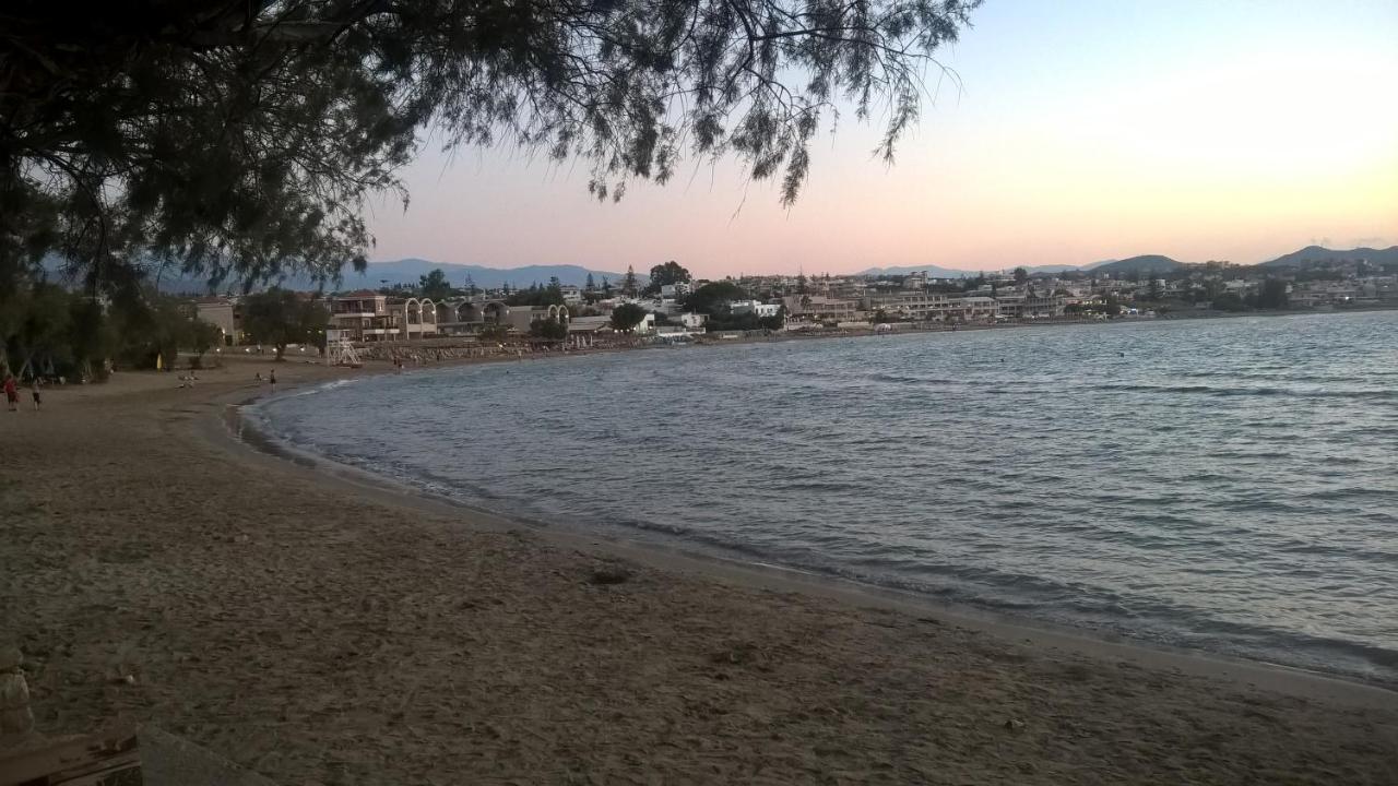 齐诺维雅公寓 加藤-达拉特索 外观 照片